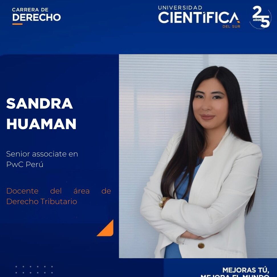 Del Sur Abogados 1 del sur abogados