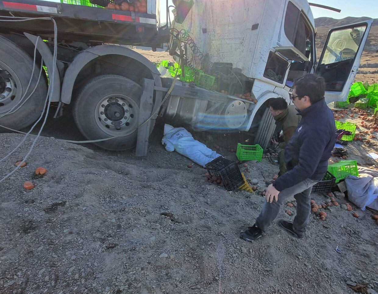 fiscalia local de chanaral