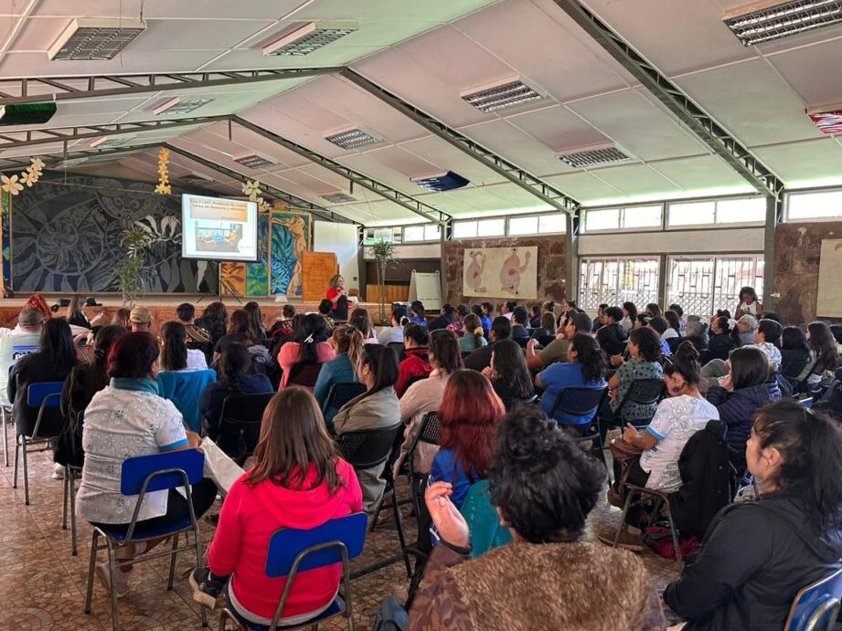 juzgado mixto rapa nui isla de pascua