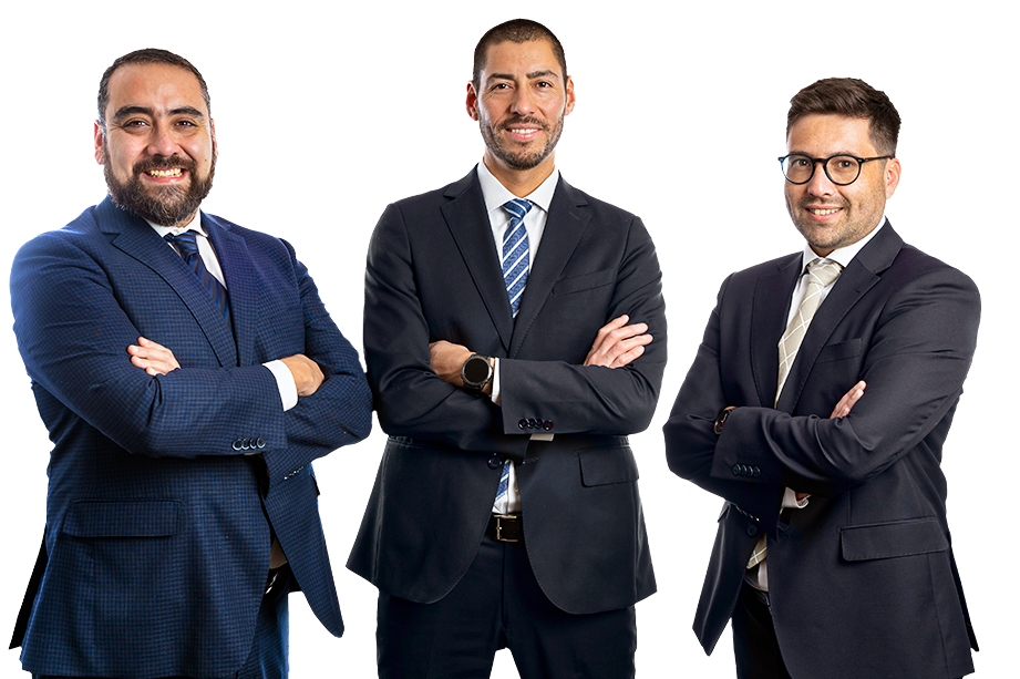 litigantes norte abogados