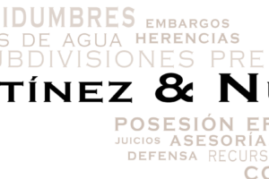 Martinez y Nuñez abogados 7 Martinez y Nuñez abogados